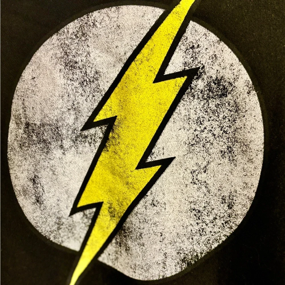 DC Comics The Flash Logo Distressed Hooded Sweatshirt - Picture 11 of 15